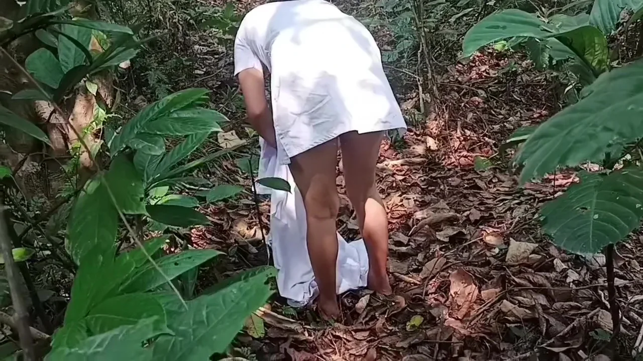 A Journey Through The Wilderness