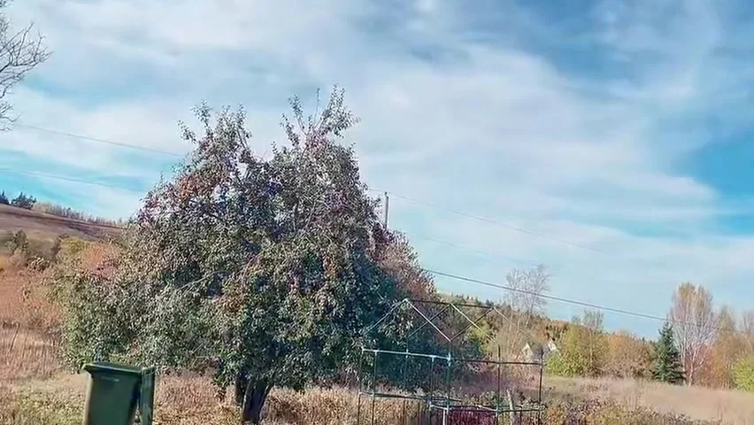 Hana Go To Garden At Apple Tree Drain Water She Very Happy After That