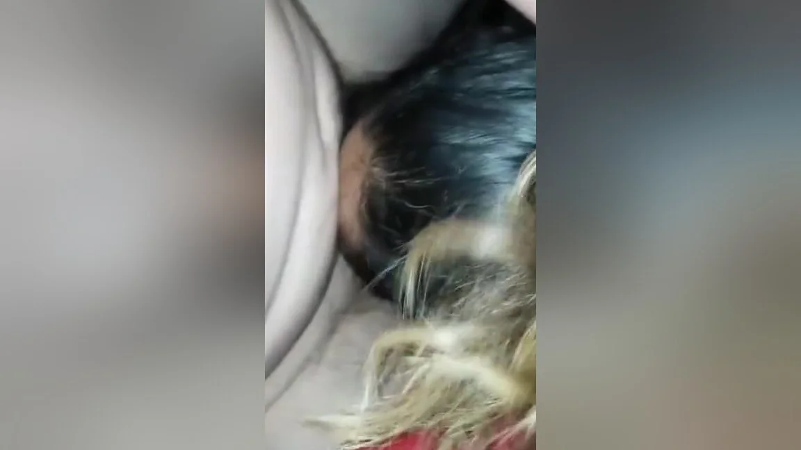 My Sneaky Link Giving Good Head