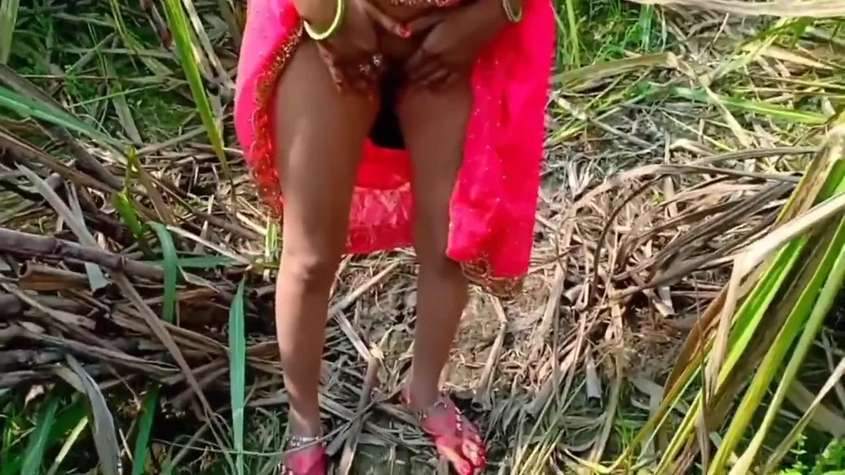 Jungle Ganne Ke Khet Me Chod Diya Bhabhi Ko Desi Outdoor