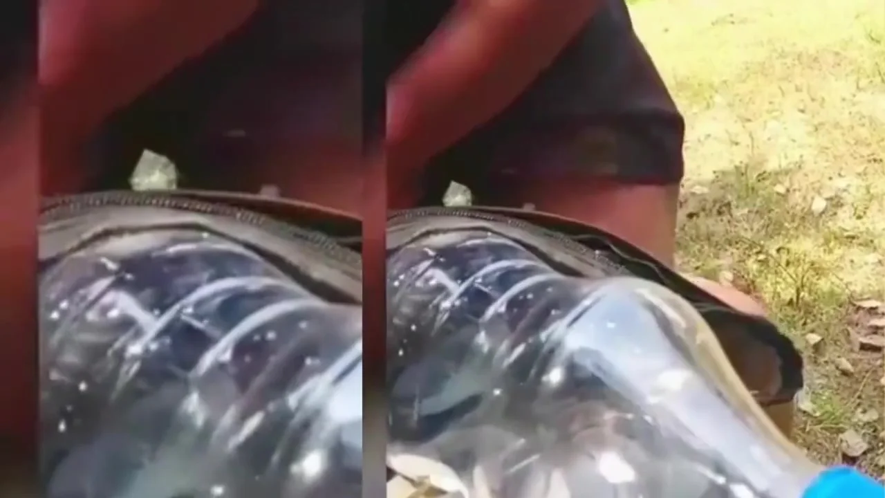 Bhabhi Ko Mayke Le Jate Waqt Jungle Me Hi Dono Ne Khub Chudai Ke Maje Liye With Village Outdoor