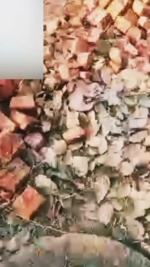 Desi Girlfriend Showing Hot Young Pussy