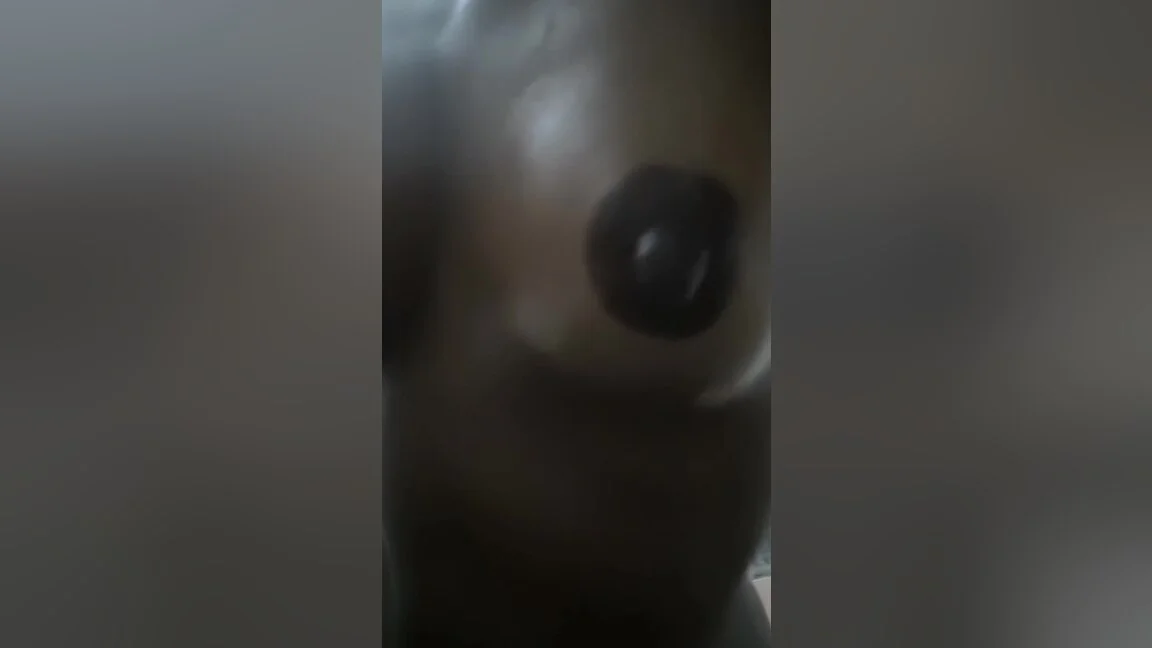 My Big Boobs Show Desi Indian 2024