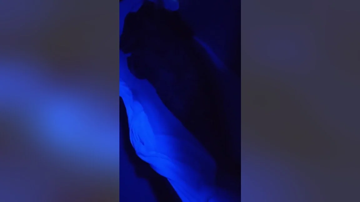 Fucking In Indian Train And Enjoying