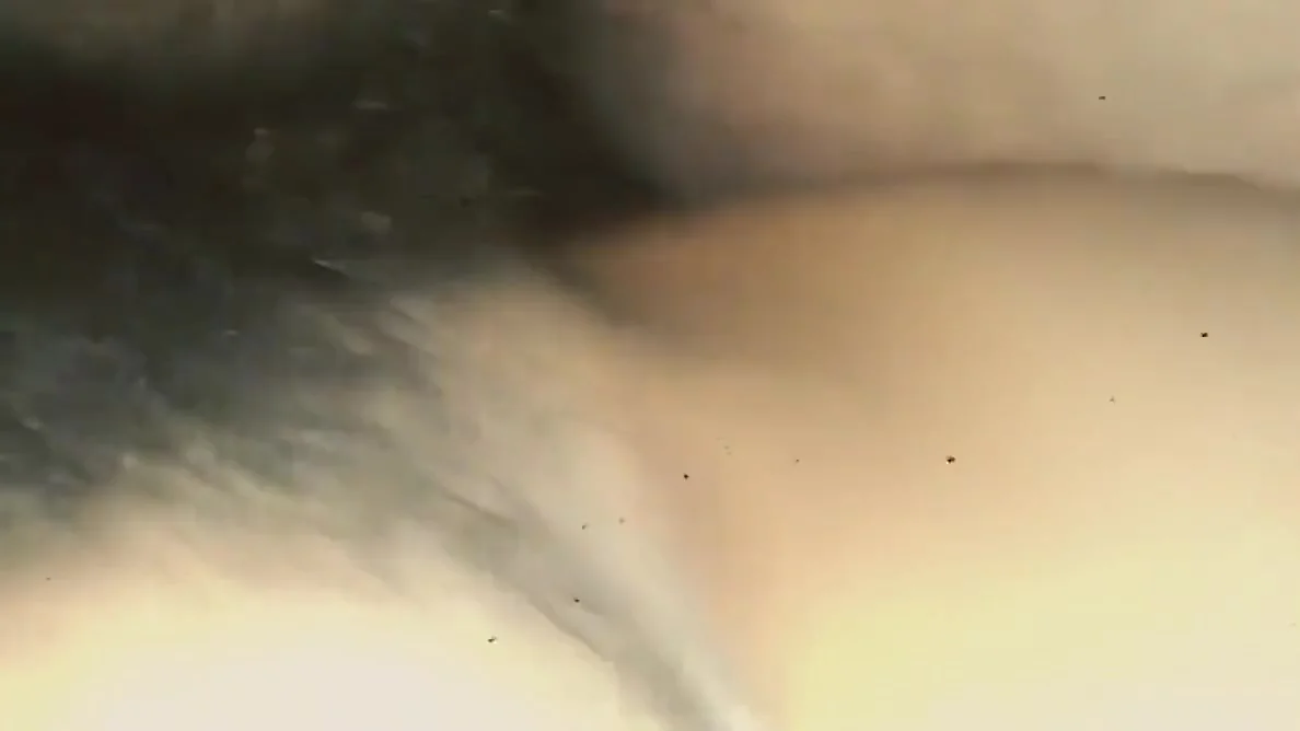 Clear Audio - Radha Bhabhis Hairy Pussy Fucked By Devar