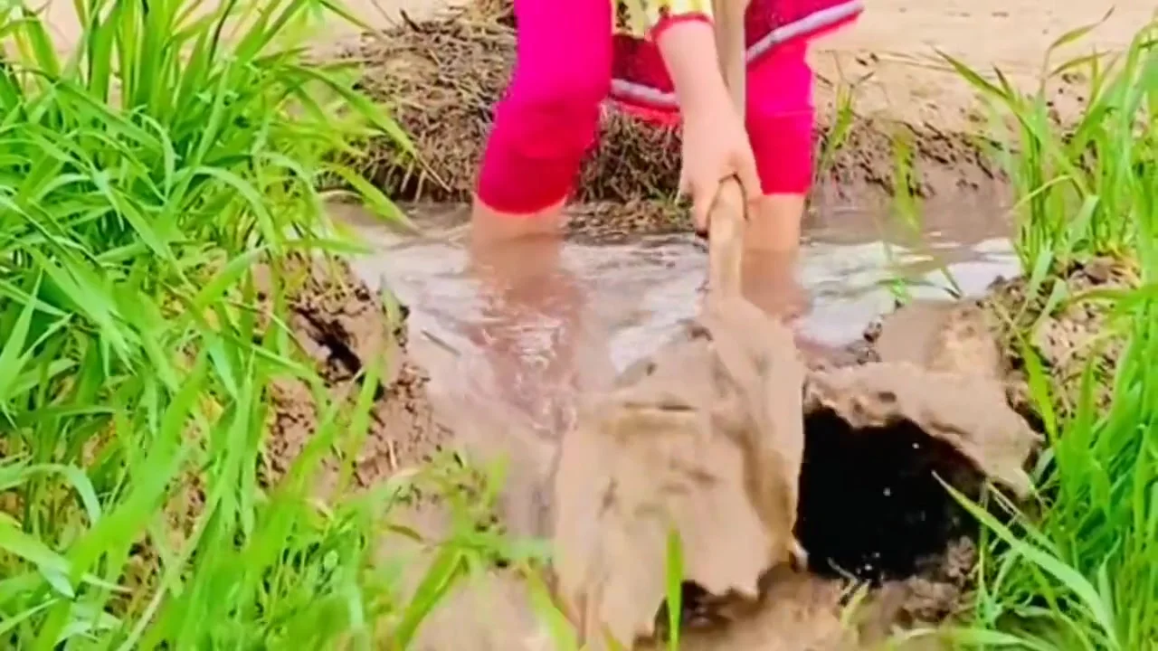 Indian Hot Bhabhi Sex With Unknown Very Hard Fucked Mms - Young Boy