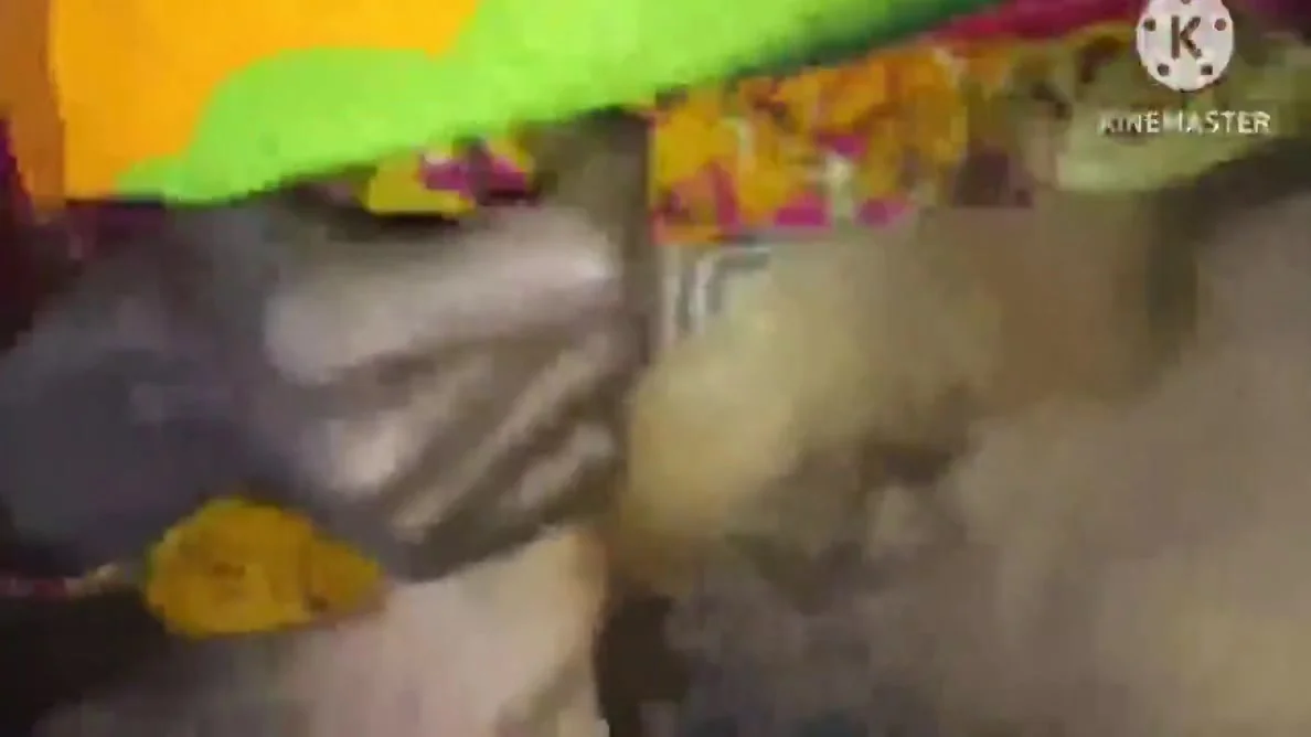 Flicked By Putting Cock In Vagina