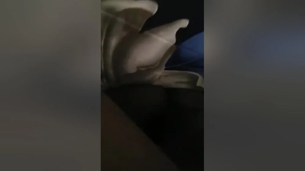 Today Exclusive -desi Lover Fucking And Pussy Licking