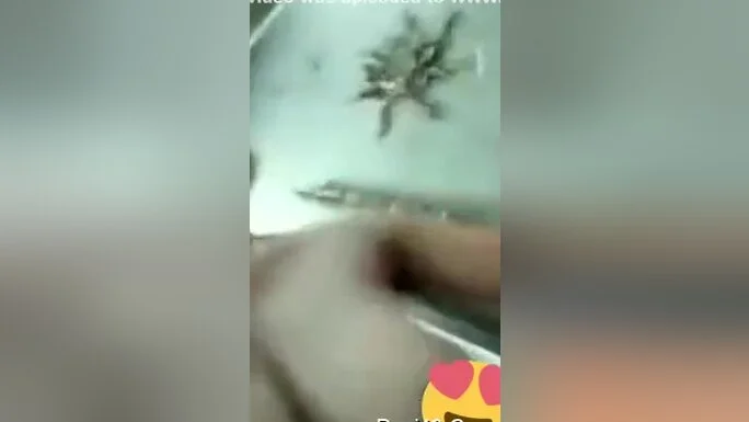 Today Exclusive- Crazy Desi Girl Showing Her Boobs And Pussy On Video Call 1