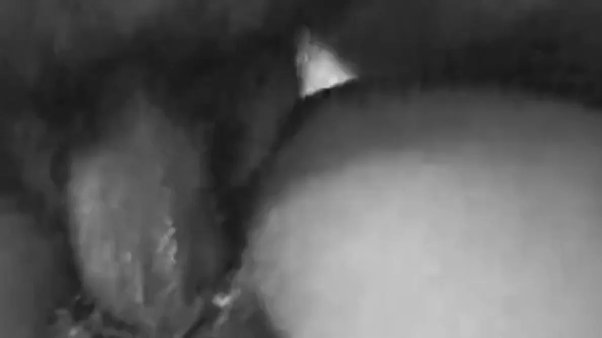 Cute Girlfriend Hard Sex Video