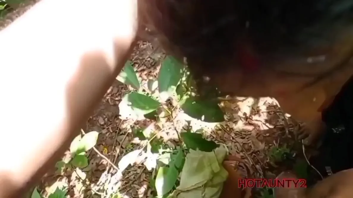 Indian Wife Gita Sex In Jungel