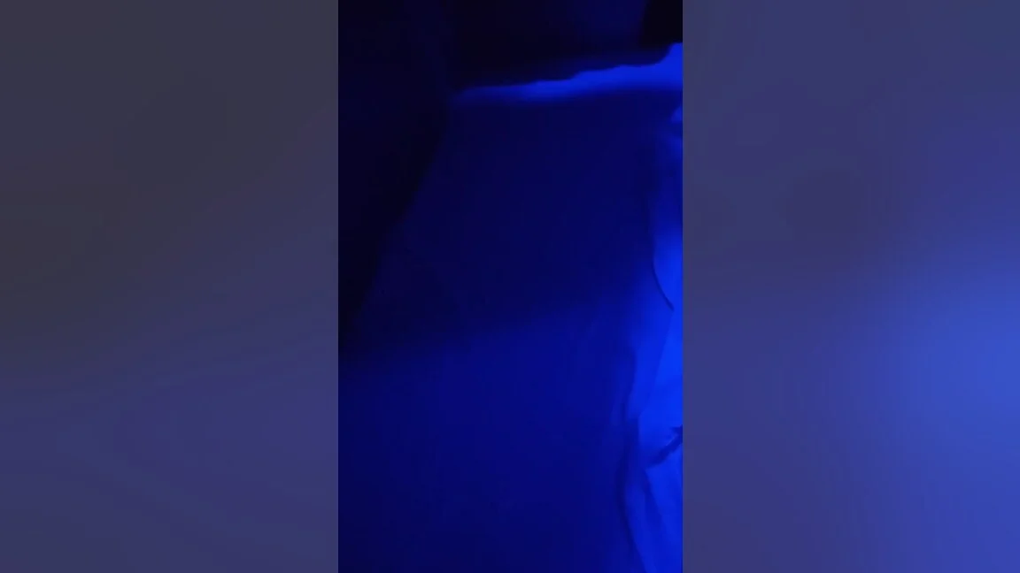 Indian Couple Fuck In Train