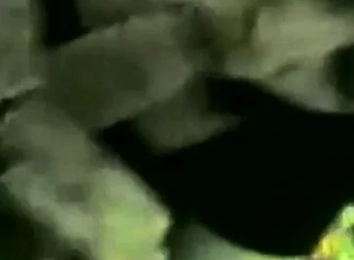 old arab slut gives a blowjob end with unexpected surprise