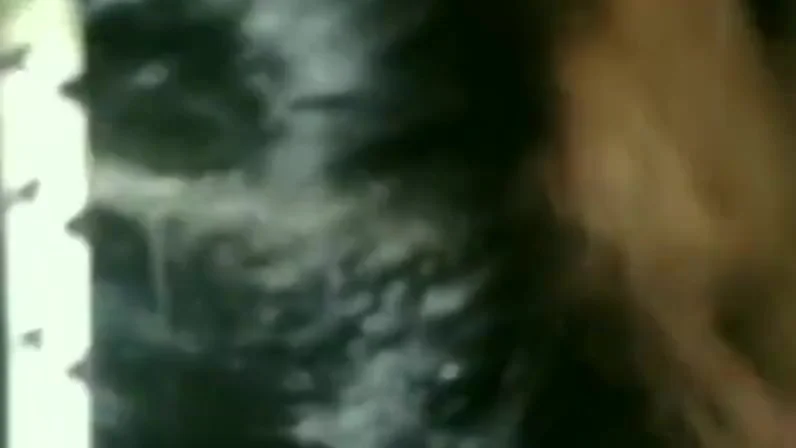 Cute Desi Girl Sucking Her Bfs Cock