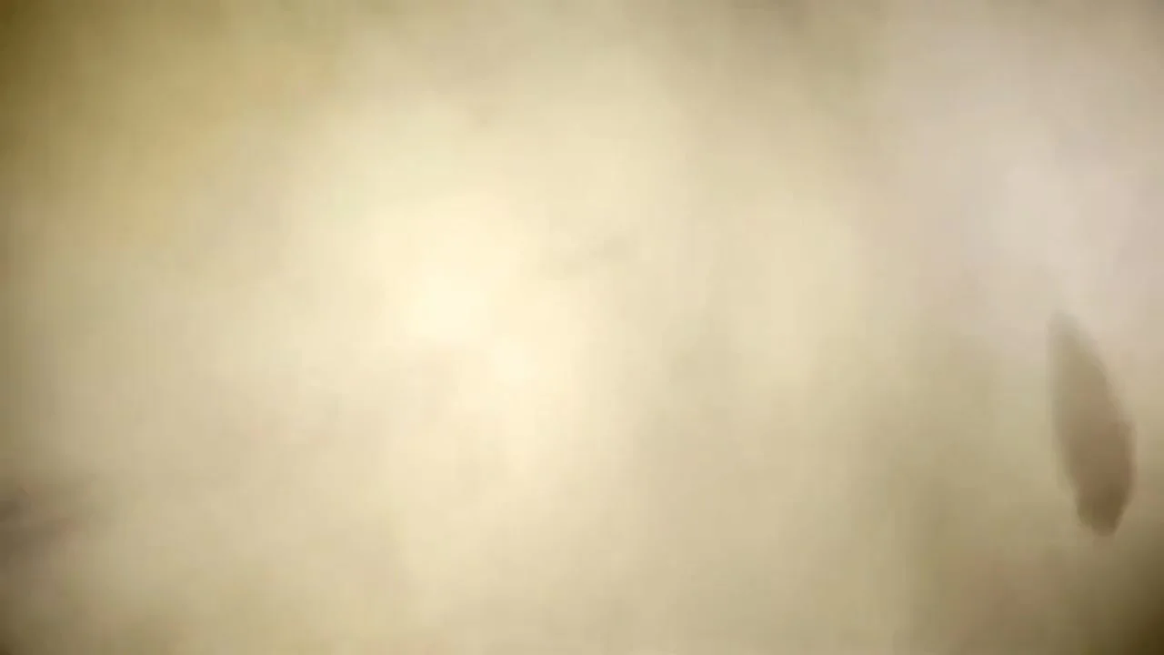 Deshi Causin Stepsister Ko Jabardast Chudai Missionary