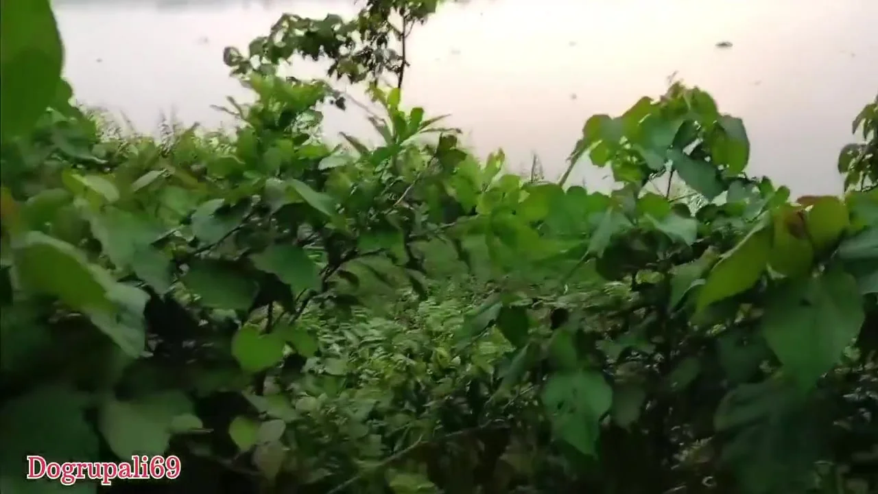 I Fucked Indian Woman While Walking In The Forest