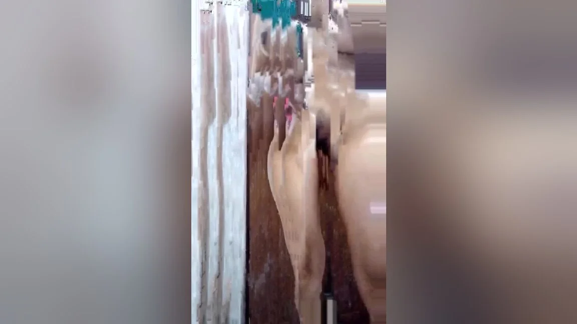 Mia Khalifa And Mia Malkova In Ruhi Jaan Indian Nude Girl In Bathroom Clean Her Big Ass And Rubbing Hairy Pussy