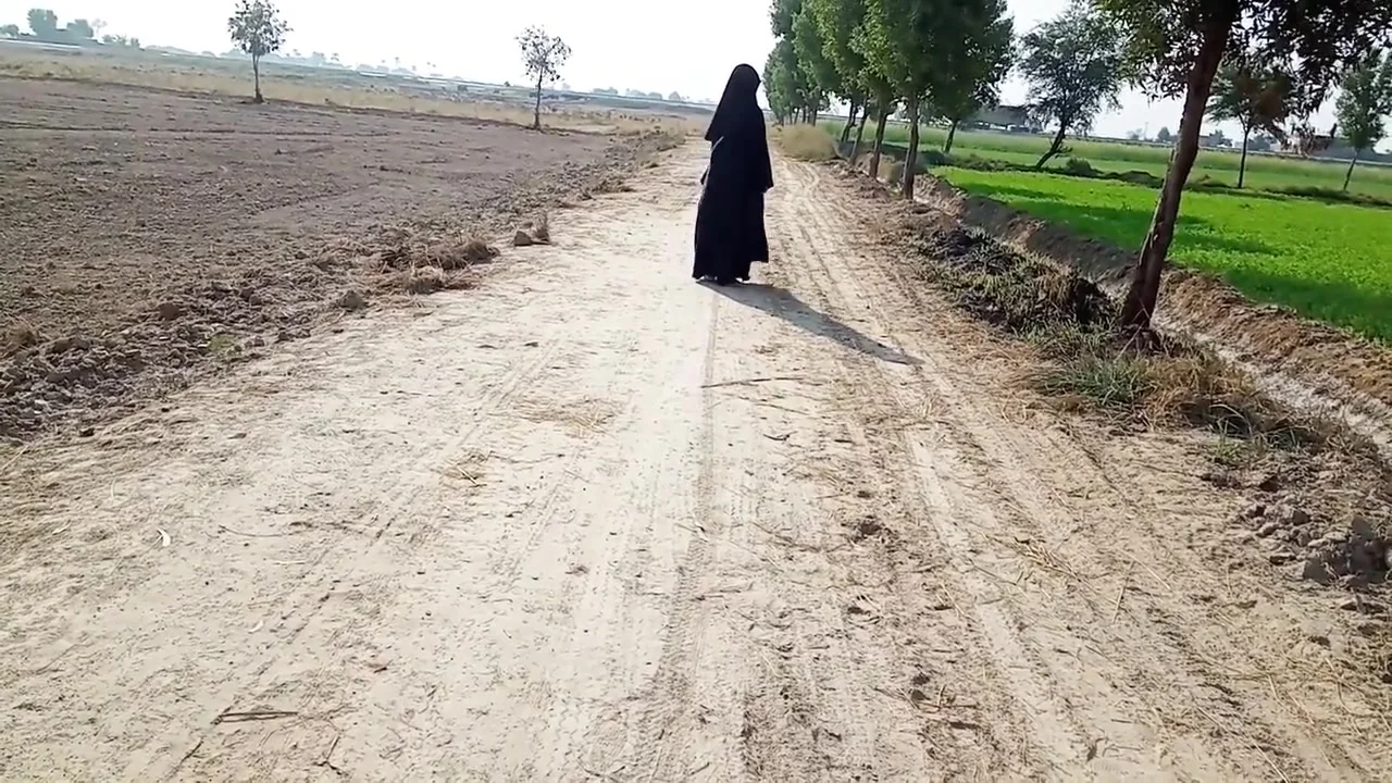 Pakistani Desi Village Girl Sex With Driver On Road