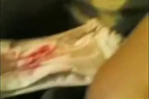 Homemade Oral Sex Video Of Desi Indian Couple