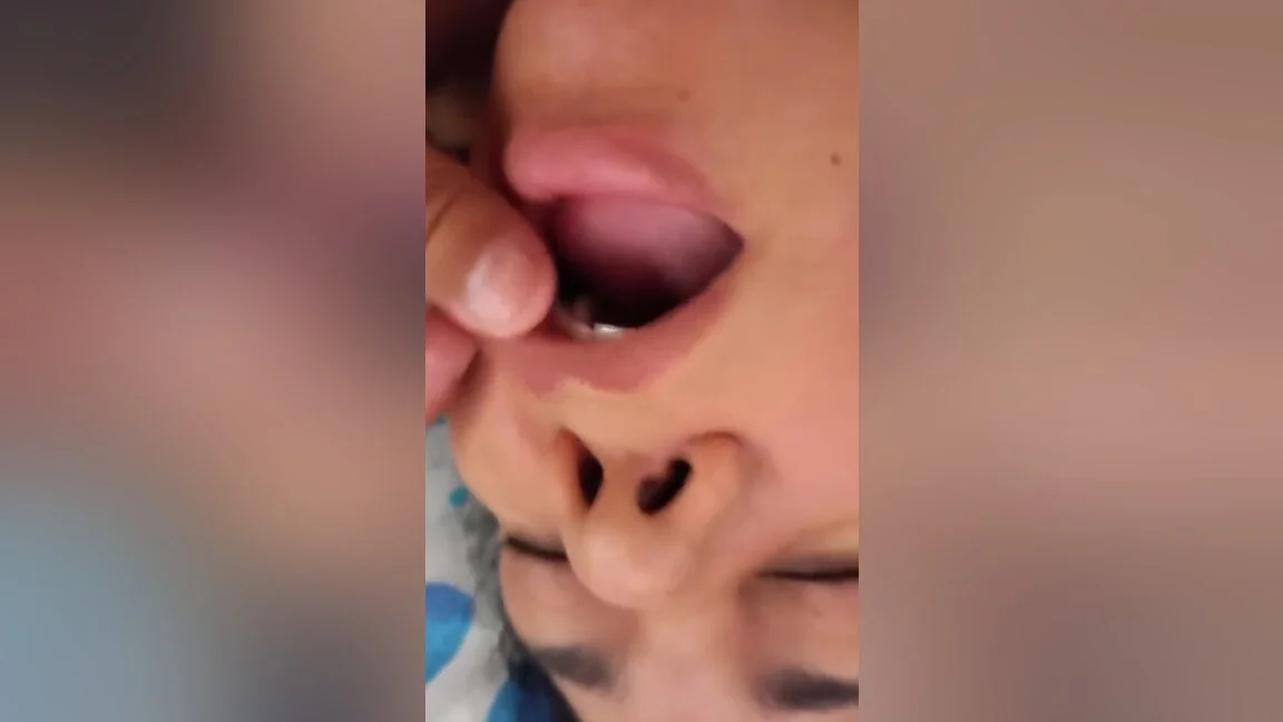 24. Milk Yogurt For Valkyrie: A Healthy Snack Rich In Probiotics