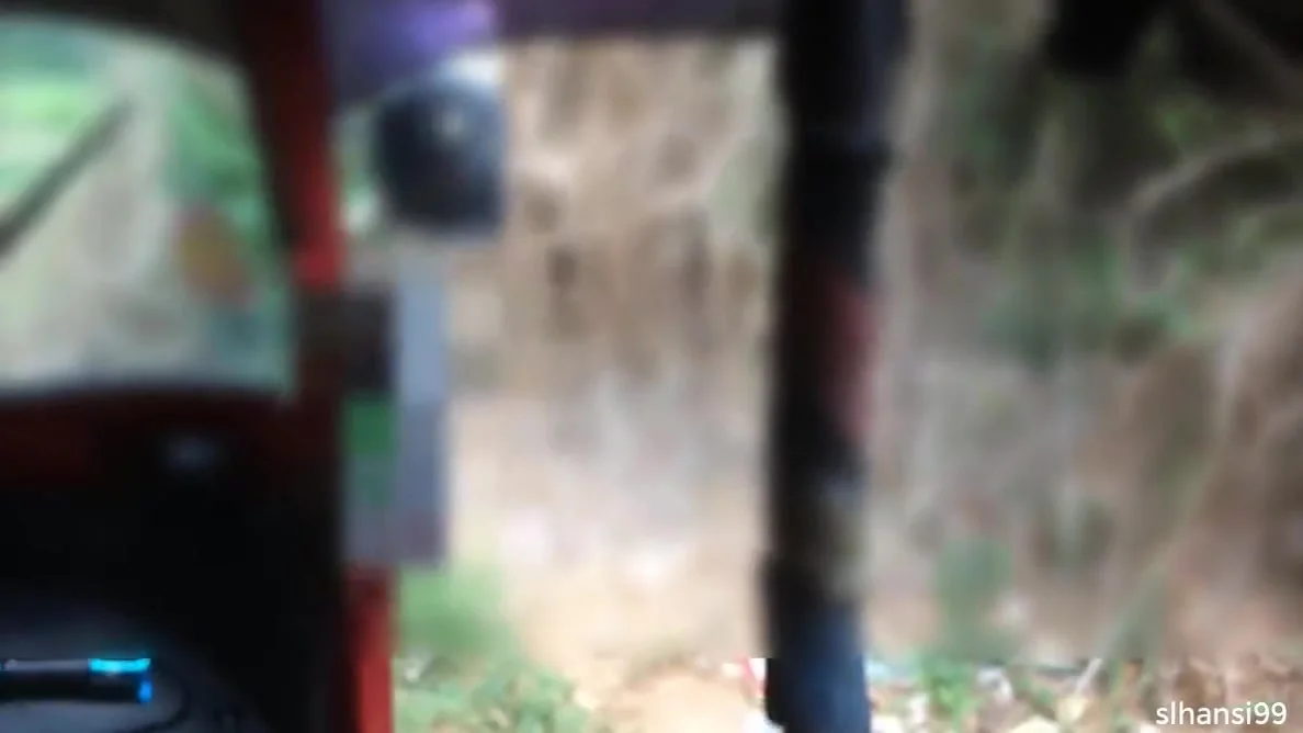 Outdoor Sex In The Taxxi Sri Lankan