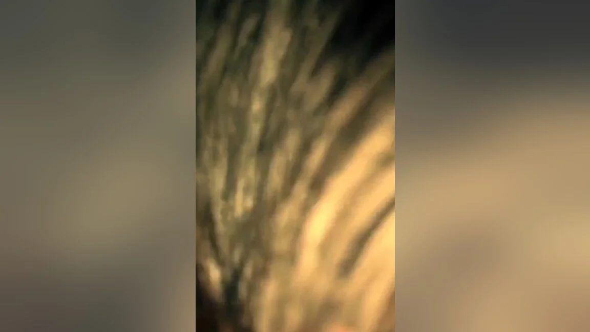 Indian Village Hot Chudai