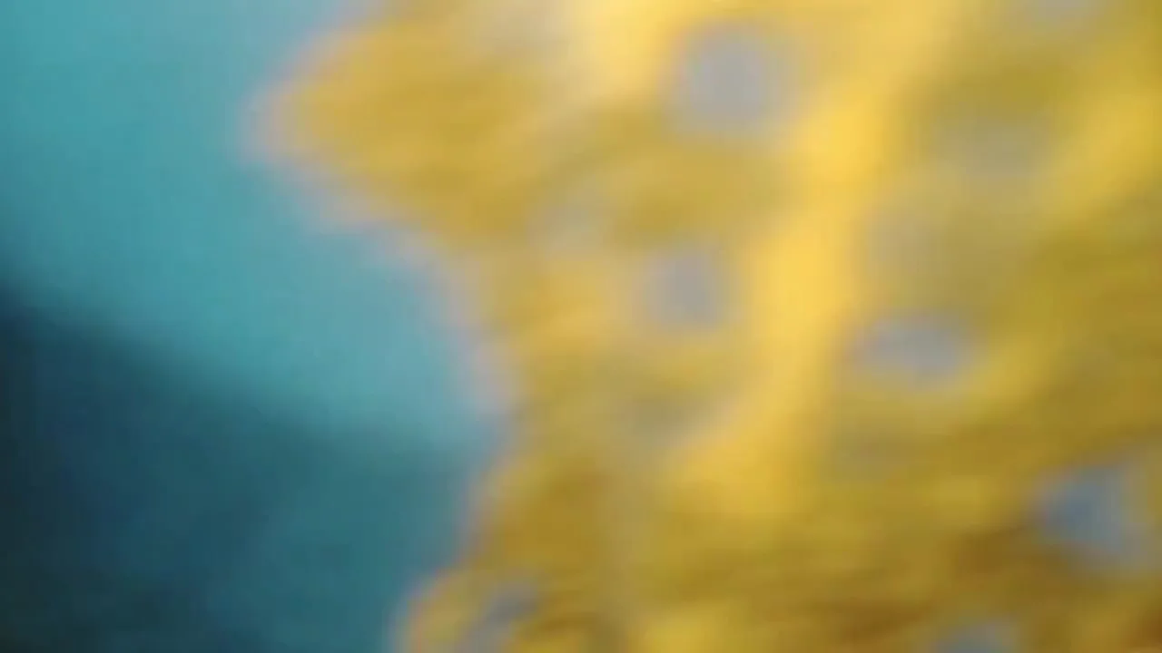 Desi Girl Pakistan Video Vlog