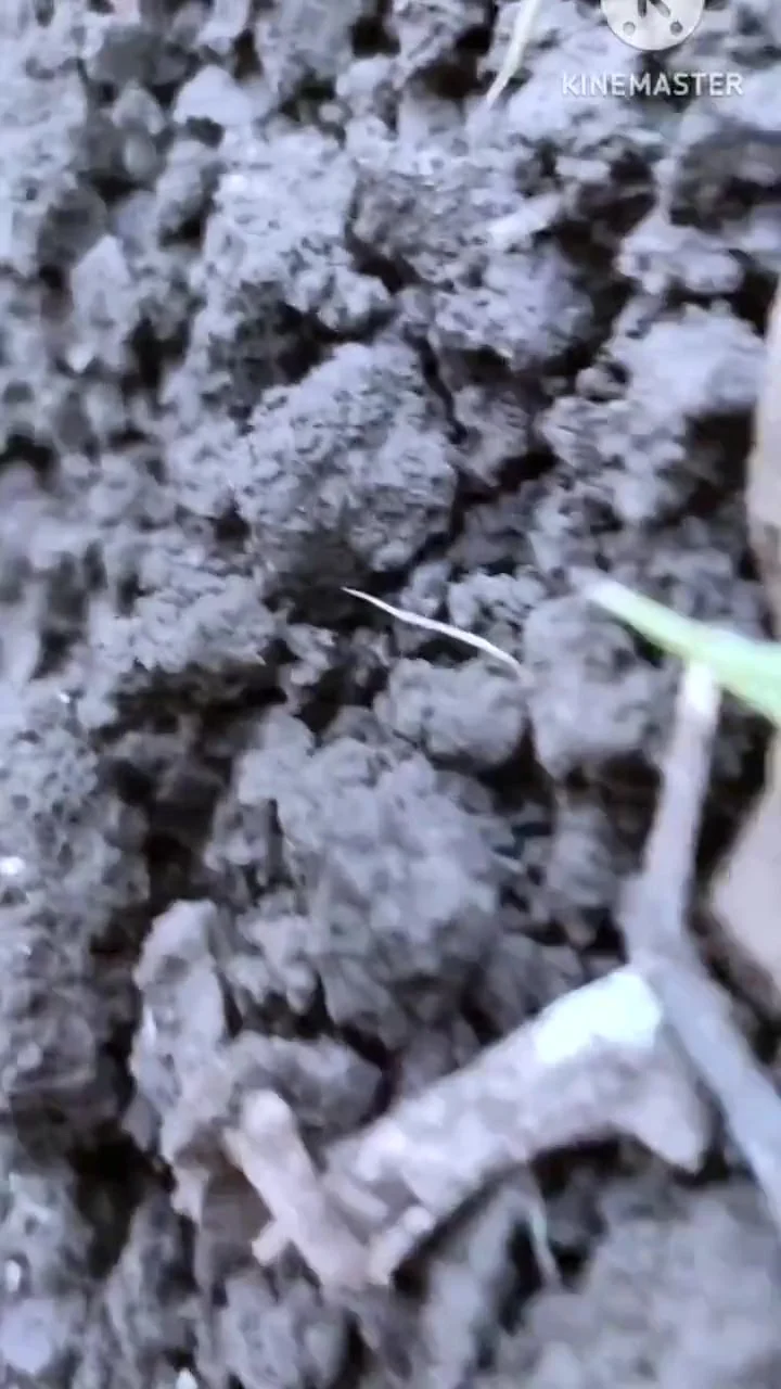 Desi Girl Friend Ko Mc Chalu Hi Khath Me Boobs Show