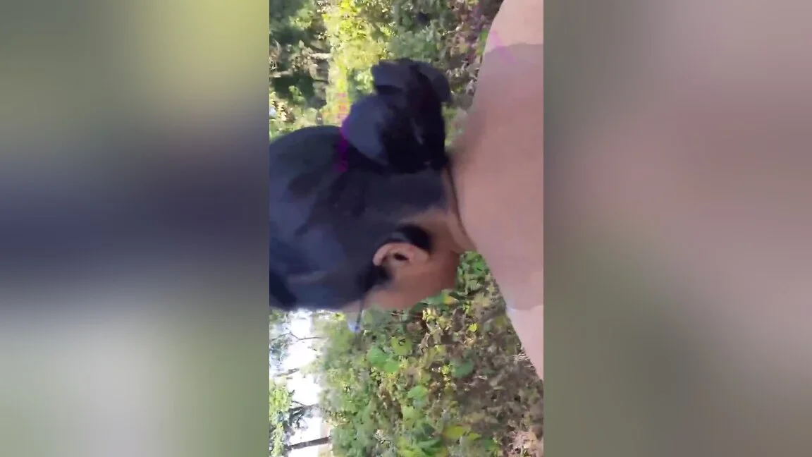 Horny Bangali Wife Blowjob And Fucked