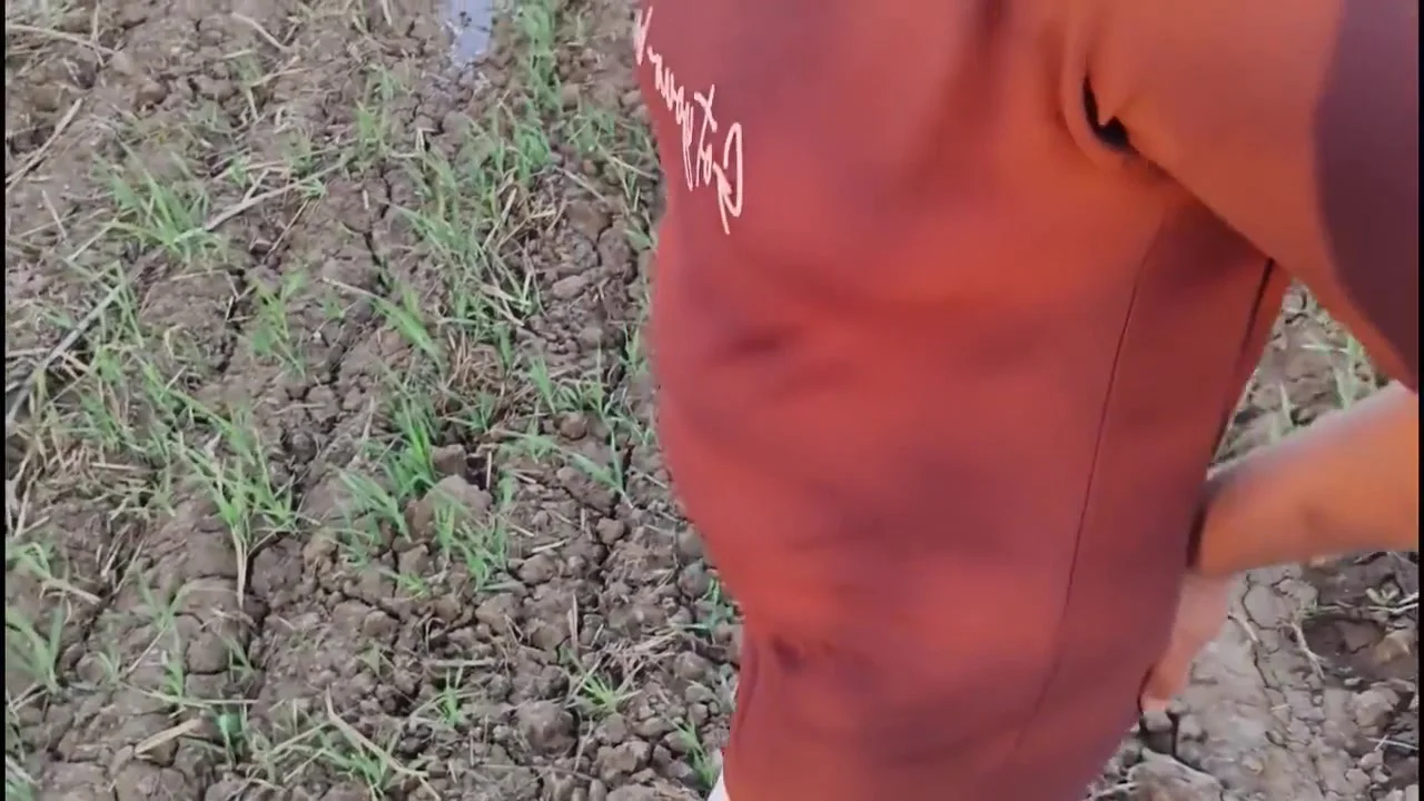 Very Beautiful And Hindi Sex In Outdoor Sex In Farm , When She Was Alone At Farm, Fucked Hardcore, Very Hot And Beautiful Girl Tight