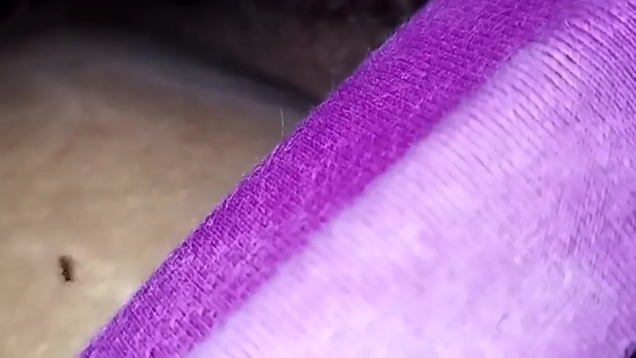 Desi Husband Fuck Bhabi Without Erection