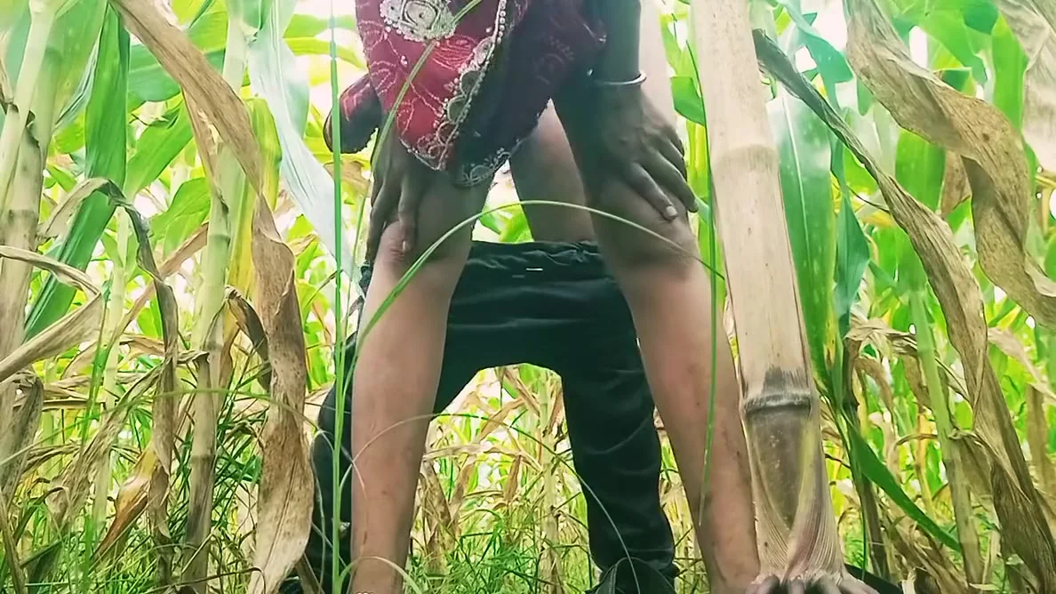 Stepsister-in-law Sucked Cock In The Field And Fucked Hard