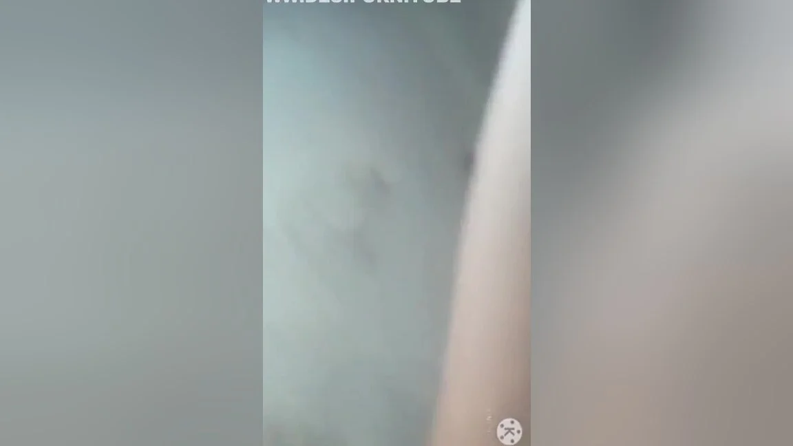 Devar Bhabhi - Hot Sonali Bhabhi Ki Milky Bobs