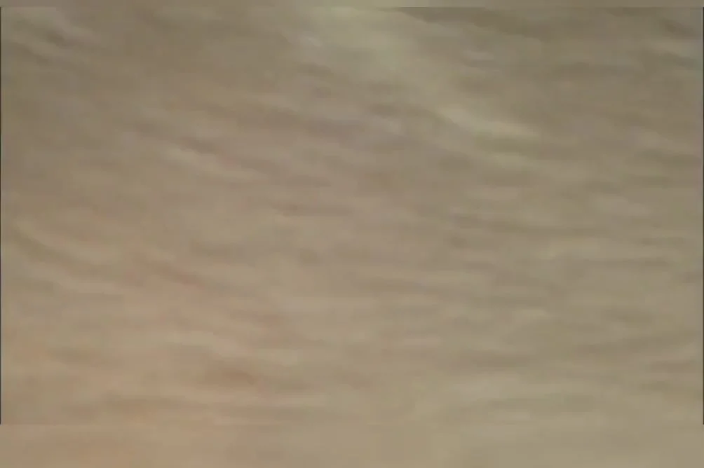 Bengali Muslim Bhabi Fuck With Her Husband