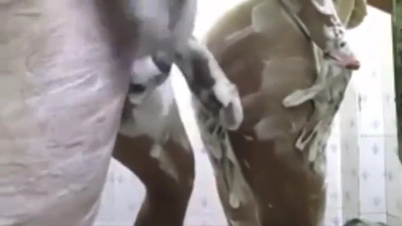 Indian Sexy Girlfriend Sex And Bath Together At Home