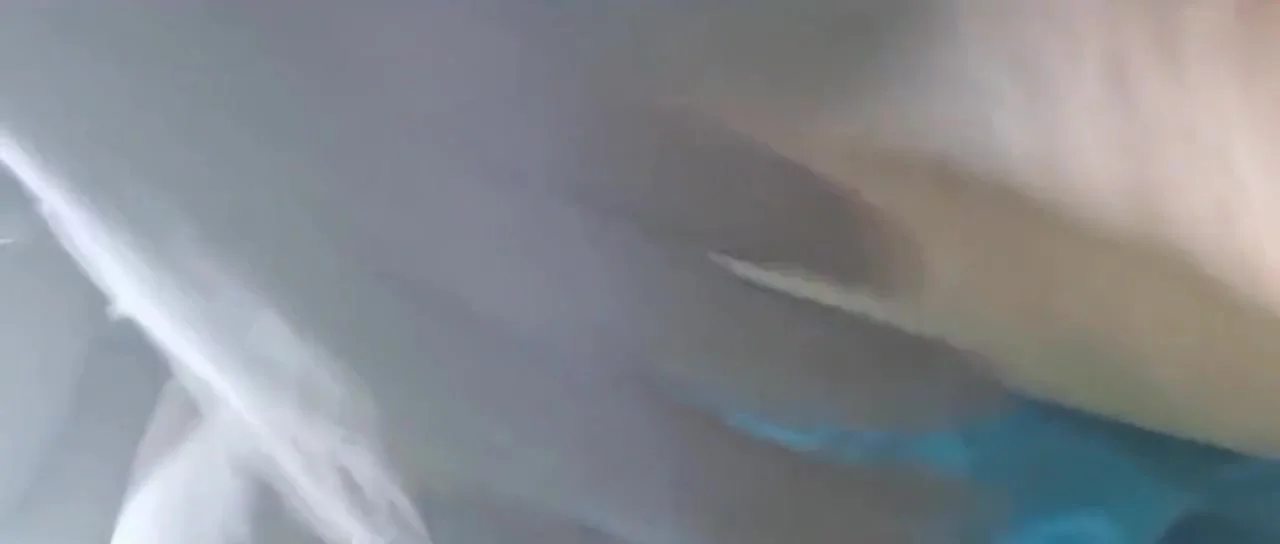 Tamil Saree Housewife Sex With Ex Boy Friend Part3