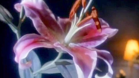 Anna Nicole Smith - Playboy Playmate Centerfold - 60FPS Upscaled by an A.I.