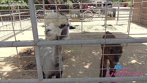 Atk Girlfriends And Breezy Bri - Farm Date 1